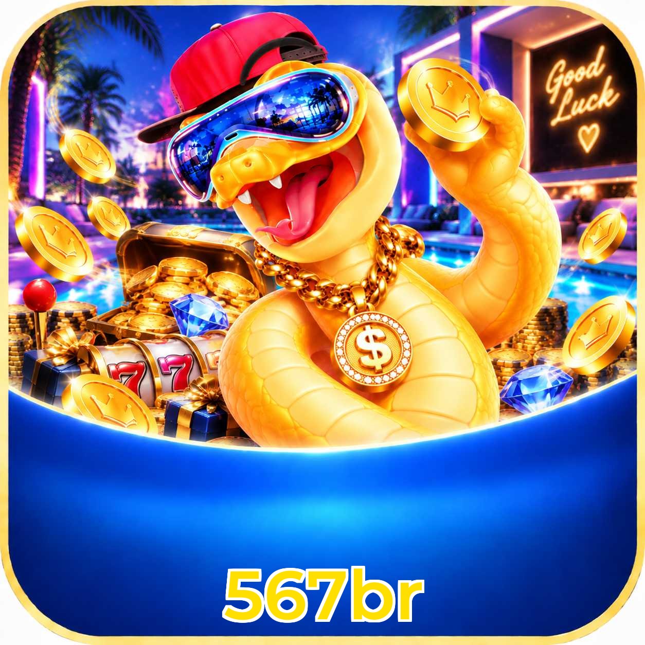 567br